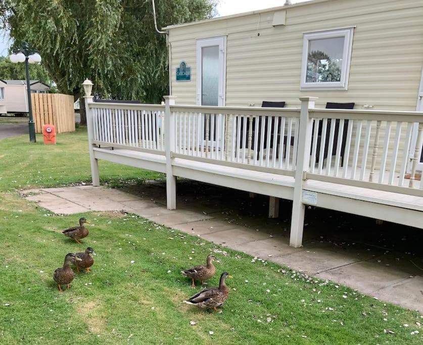 Apartment Springs Southview Skegness *